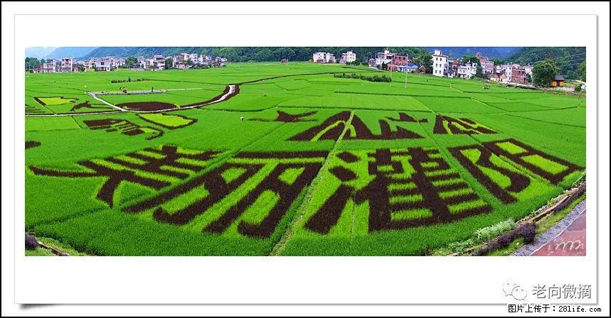 【春天，广西桂林灌阳县向您发出邀请！】开篇 - 游山玩水 - 白城生活社区 - 白城28生活网 bc.28life.com