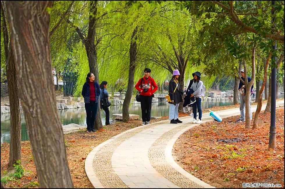 【春天，广西桂林灌阳县向您发出邀请！】江口老街又逢春 - 游山玩水 - 白城生活社区 - 白城28生活网 bc.28life.com