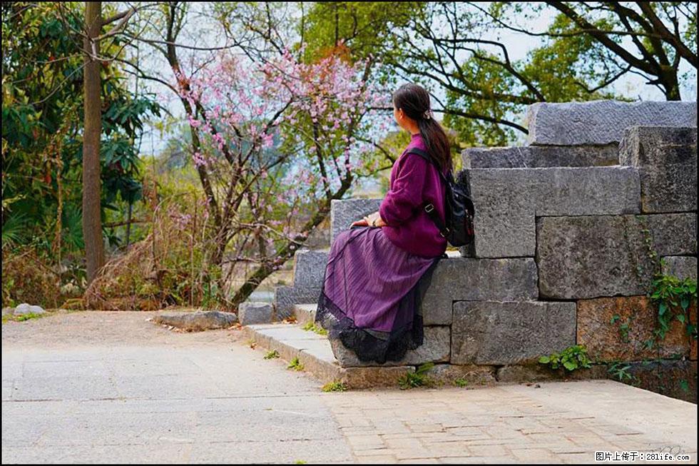 【春天，广西桂林灌阳县向您发出邀请！】江口老街又逢春 - 游山玩水 - 白城生活社区 - 白城28生活网 bc.28life.com