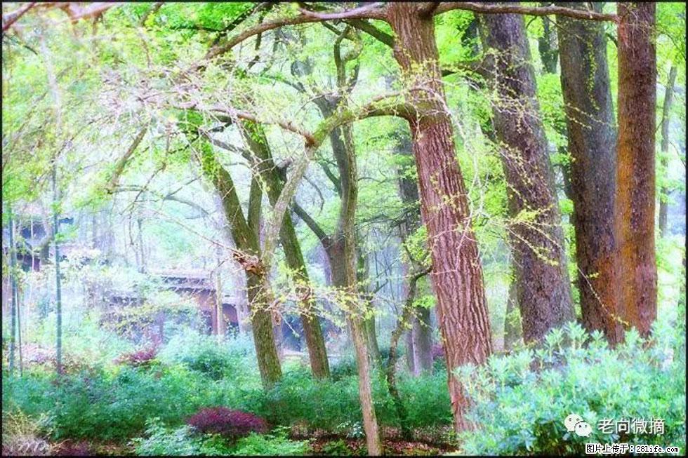 【春天，广西桂林灌阳县向您发出邀请！】在小龙村与春天约会 - 游山玩水 - 白城生活社区 - 白城28生活网 bc.28life.com