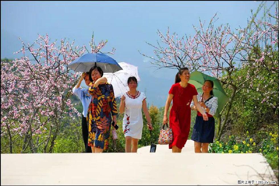 【春天，广西桂林灌阳县向您发出邀请！】望月岭上桃花开 - 游山玩水 - 白城生活社区 - 白城28生活网 bc.28life.com