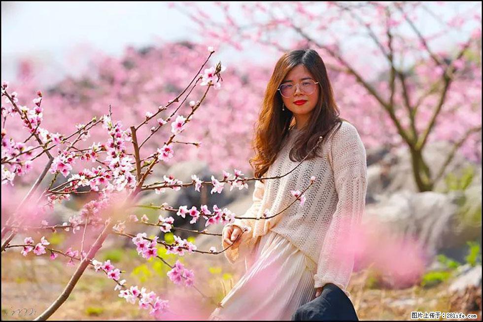 【春天，广西桂林灌阳县向您发出邀请！】望月岭上桃花开 - 游山玩水 - 白城生活社区 - 白城28生活网 bc.28life.com