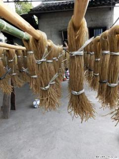 【灌阳正宗红薯粉】美女家里自己做的,干净卫生,假一赔十,价格合理,抢购电话:13737312895 - 白城28生活网 bc.28life.com