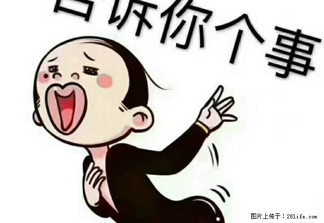 位置好，下楼就是广场， - 房屋出租 - 房屋租售 - 白城分类信息 - 白城28生活网 bc.28life.com