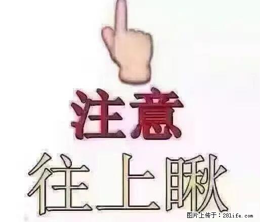 市政府对面3楼出租65平年租金1.2万拎包入住 - 房屋出租 - 房屋租售 - 白城分类信息 - 白城28生活网 bc.28life.com