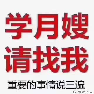 【招聘】月嫂，上海徐汇区 - 白城28生活网 bc.28life.com