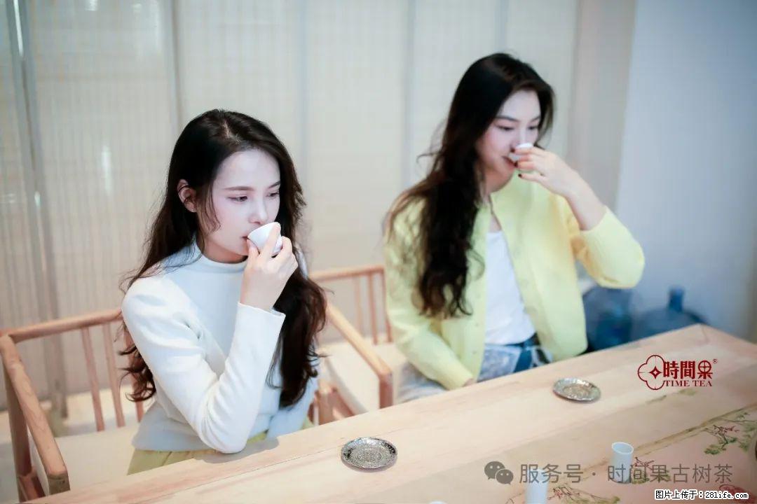 时间果百年古树龙珠普洱生茶 - 购物交流 - 白城生活社区 - 白城28生活网 bc.28life.com