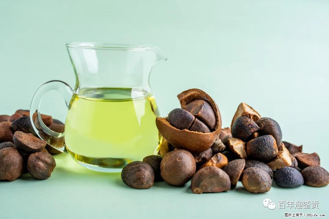 世界没有真相,只有认知,最好的食用油是中国的山茶油! - 白城生活资讯 - 白城28生活网 bc.28life.com