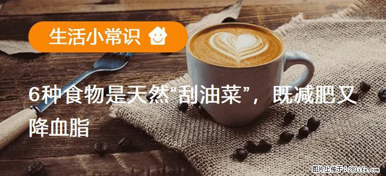 【生活小常识】6种食物是天然“刮油菜”，既减肥又降血脂 - 白城生活资讯 - 白城28生活网 bc.28life.com