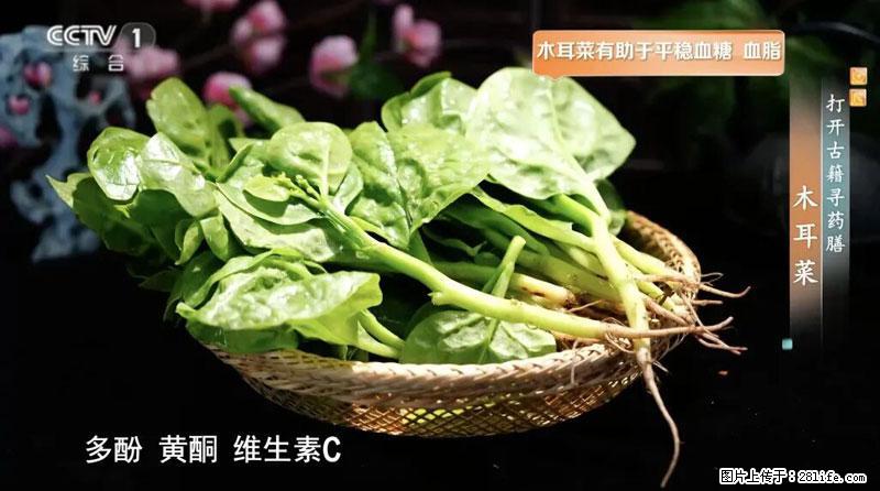 比牛奶补钙还厉害!凉血解毒、稳血糖...这菜冬天必吃,很多人却当草 - 白城生活资讯 - 白城28生活网 bc.28life.com
