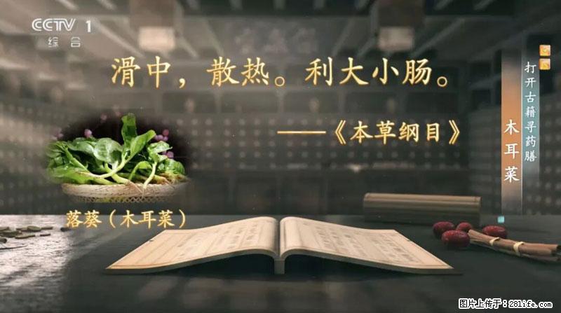 比牛奶补钙还厉害!凉血解毒、稳血糖...这菜冬天必吃,很多人却当草 - 白城生活资讯 - 白城28生活网 bc.28life.com