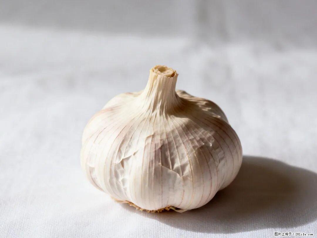 关于大蒜,除了“天然抗生素”,这4个谣言更该警惕! - 白城生活资讯 - 白城28生活网 bc.28life.com
