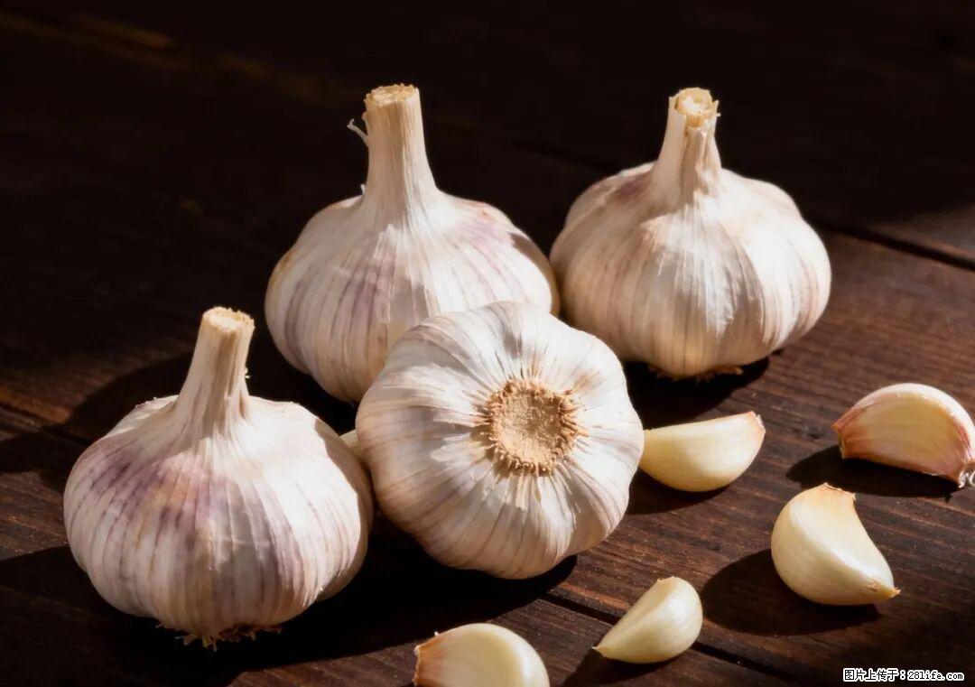 关于大蒜,除了“天然抗生素”,这4个谣言更该警惕! - 白城生活资讯 - 白城28生活网 bc.28life.com