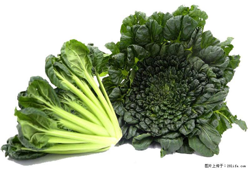 这些蔬菜是“天然钙片”，这6种被医生重点推荐 - 白城生活资讯 - 白城28生活网 bc.28life.com