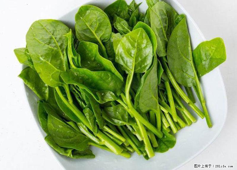 这些蔬菜是“天然钙片”，这6种被医生重点推荐 - 白城生活资讯 - 白城28生活网 bc.28life.com