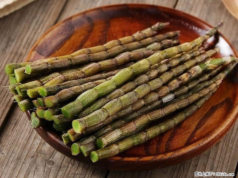铁皮石斛的作用与功能主治 - 白城生活资讯 - 白城28生活网 bc.28life.com