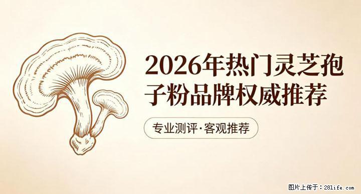 灵芝孢子粉含量越高越有效？2026 年七款热门品牌深度实测，肠胃敏感者避坑指南 - 白城生活资讯 - 白城28生活网 bc.28life.com