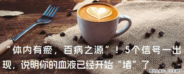 “体内有瘀,百病之源”!5个信号一出现,说明你的血液已经开始“堵”了 - 白城生活资讯 - 白城28生活网 bc.28life.com